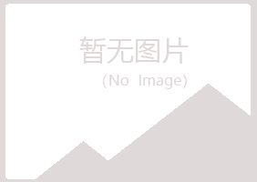 临渭区盼夏能源有限公司